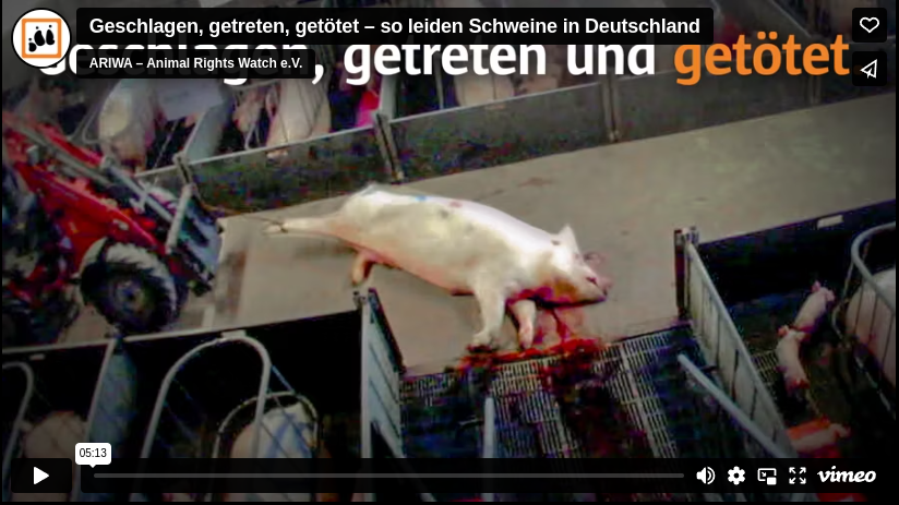 geschlagen und getötet