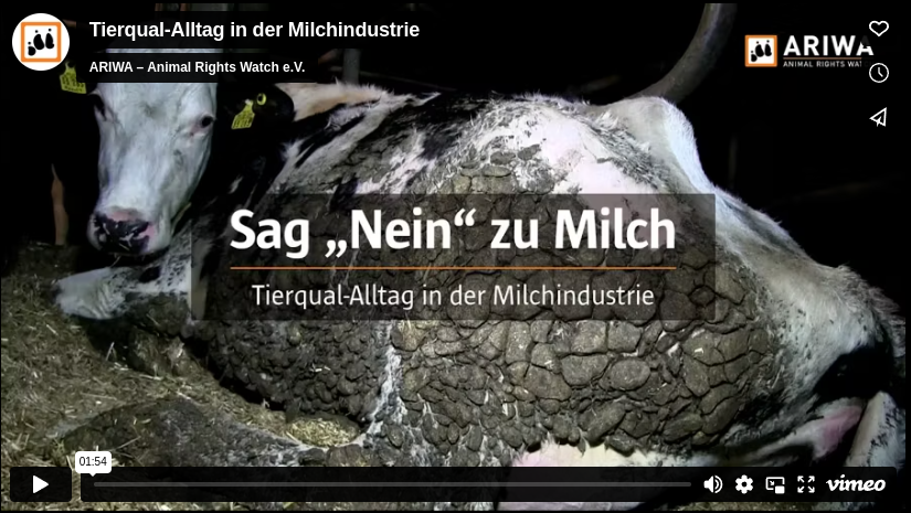 milchindustrie